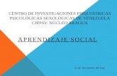 Centro de investigaciones psiquiátricas psicológicas sexológicas de venezuela teorias del aprendizaje