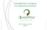Emergências Cirúrgicas em Pequenos Animais