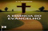 Livro ebook-a-essencia-do-evangelho
