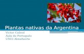 Plantas nativas da Argentina (em português)