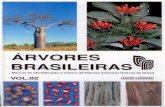 Árvores brasileiras (lorenzi)   volume 2
