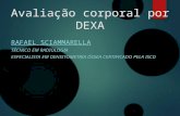 Avaliação de composição corporal por DEXA