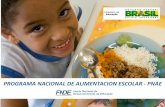 Brasil  - Programa Nacional de Alimentación Escolar de Brasil - Presentación Solange Castro.