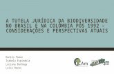A tutela jurídica da biodiversidade no Brasil e na Colômbia pós 1992 – Considerações e perspectivas atuais