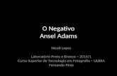 O NEGATIVO - ANSEL ADAMS