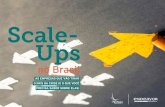 Endeavor - Scale-Ups no Brasil