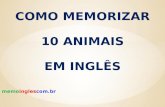 Como memorizar 10 animais em ingles