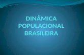 Dinâmica populacional brasileira