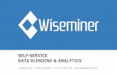 Wiseminer: Data Blending & Data Preparation
