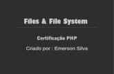 Files e File System PHP (Português)