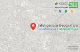 Palestra Inteligência Geográfica: Geoinformação e Geolocalização
