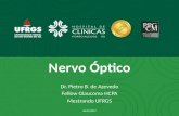 Nervo óptico - anatomia básica e aplicação clínica