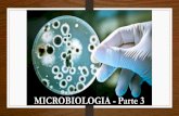 Microbiologia parte 3