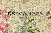 Catálogo Bergamota