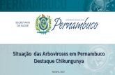 Situação  das Arboviroses em Pernambuco Destaque Chikungunya