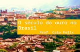 8º ano   o século do ouro no brasil