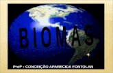Biomas  , DOMÍNIOS MORFOCLIMÁTICOS E A GUERRA DO CONTESTADO
