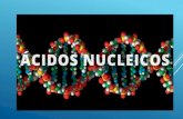 ácidos nucleicos (dna e rna)