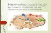 Apresentação biol celular