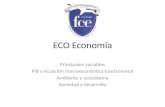 Eco economia