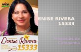 Campanha vereadora 2016   DENISE RIVERA