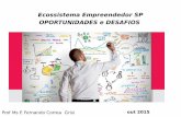 Palestra - Ecossistema empreendedor no brasil - oportunidades e desafios - 06.10