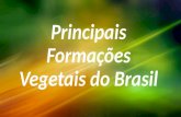 Biomas e domínios brasileiros I