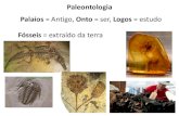 Introdução á paleontologia