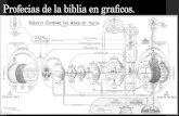 Profecias de la biblia en graficos