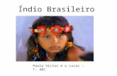 O índio brasileiro   paulo victor e lucas