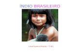 O índio brasileiro   luísa nunes e priscila