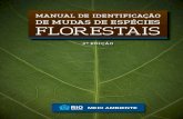 Manual de Identificação de Mudas e de Espécies Florestais (2ª Ed.)