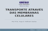 Transporte Através de Membranas (v. 2)