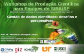 Workshop de Produção Científica para equipes do SIBiUSP - 1ª parte