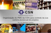 Organização do PMO da CSN para controle da sua carteira plurianual de projetos