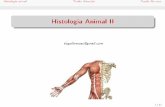 [Pré-vestibular] Histologia Animal - Parte II
