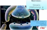 Fisiologia - Potencial de Ação no neurônio