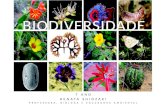 Biodiversidade 7 ANO
