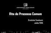 Rito do processo comum - Escritório Cristóvão Cavalcanti