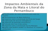 Impactos Ambientais da Zona da Mata e Litoral de Pernambuco