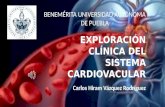 Exploraciòn del Sistema Cardiovascular