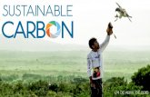 Apresentação sustainable carbon
