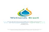 Boletim wetlands brasil   n° 5 - setembro 2016