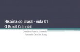 História do brasil – aula 01