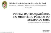 Portal da transparência e o MPPA