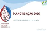 Plano de ação m farias rcc 2016