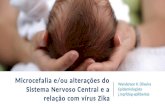 Microcefalia e/ou alterações do snc e a relação com vírus zika