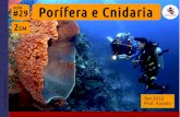 2EM #29 Porifera & Cnidaria (2016)