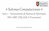 Sistemas Computacionais Aula 11 - Gerenciamento de Sistemas de Informação, ERP, CRM, SCM