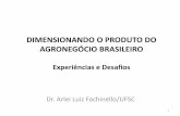 DIMENSIONANDO O PRODUTO DO AGRONEGÓCIO BRASILEIRO